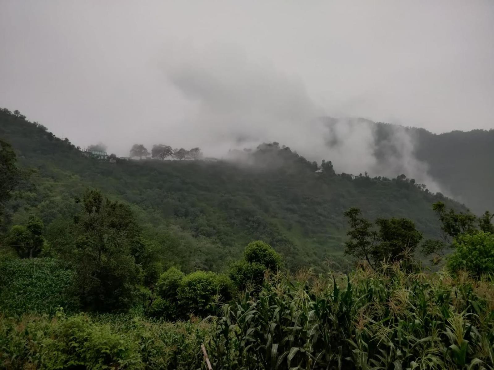 Hotel Le Halcyon , Kasauli Solan Bagian luar foto